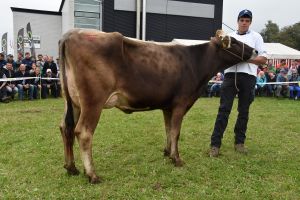 007Schneuter jngere einzeltier